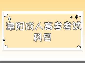阜陽成人高考專升本